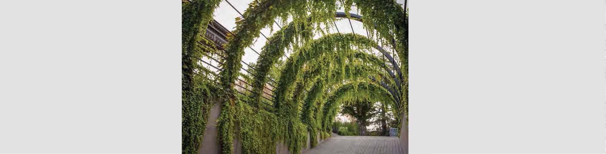 Biophilic design apartments Greater Noida